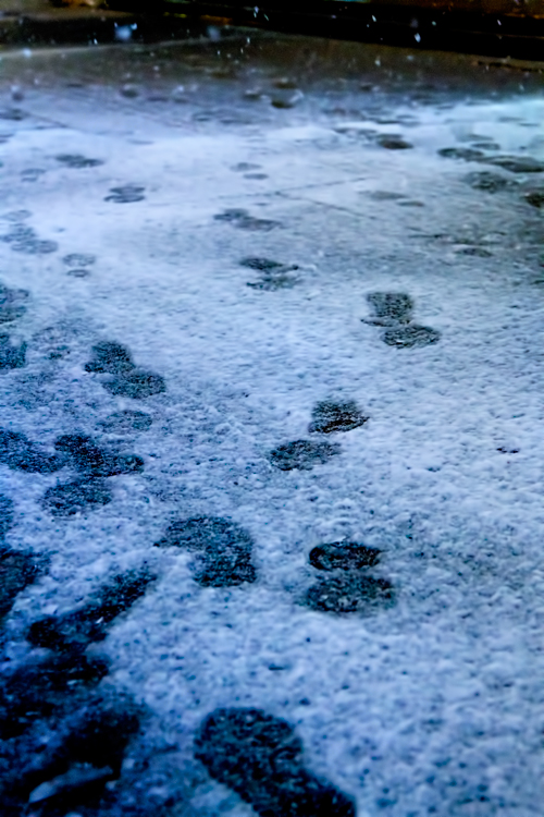 雪と足跡
